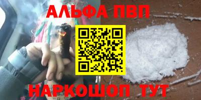 стаф Шелехов