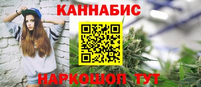 стаф Шелехов