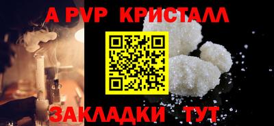 стаф Шелехов