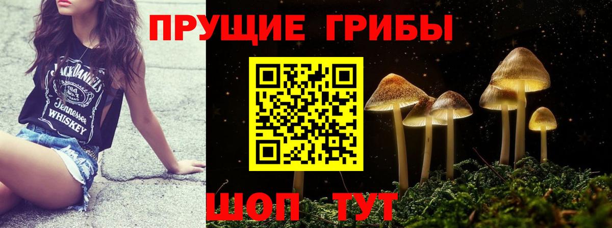 Псилоцибиновые грибы Cubensis  Вход с VPN  Котельники 